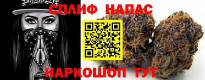 ешки Камышлов