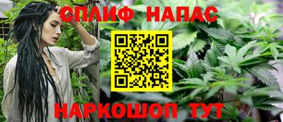 прущие грибы Канаш