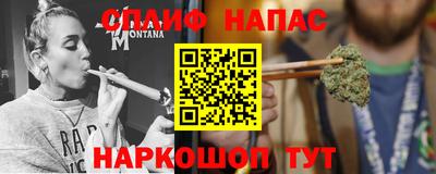 прущие грибы Канаш