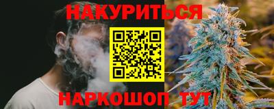 прущие грибы Канаш