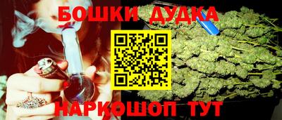 прущие грибы Канаш