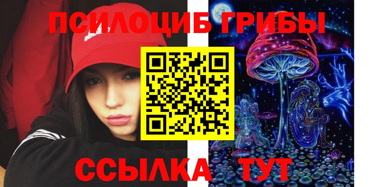 Псилоцибиновые грибы Magic Shrooms  купить   Черногорск  Вход с VPN 